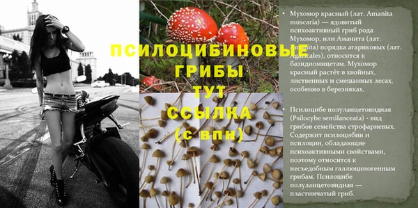 альфа пвп Новокубанск