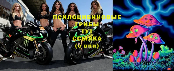 альфа пвп Новокубанск