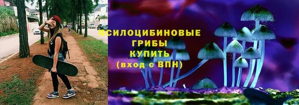 экстази Новодвинск