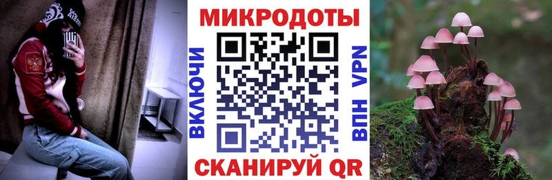 Купить  Сочи  Галлюциногенные грибы прущие грибы 